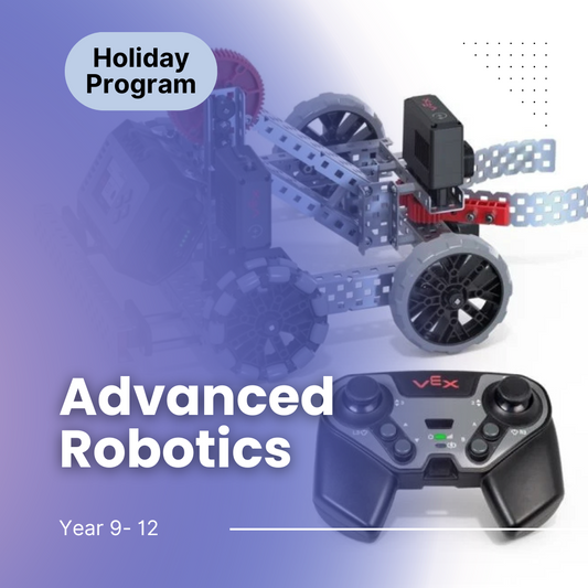 Advanced Robotics Holiday Program